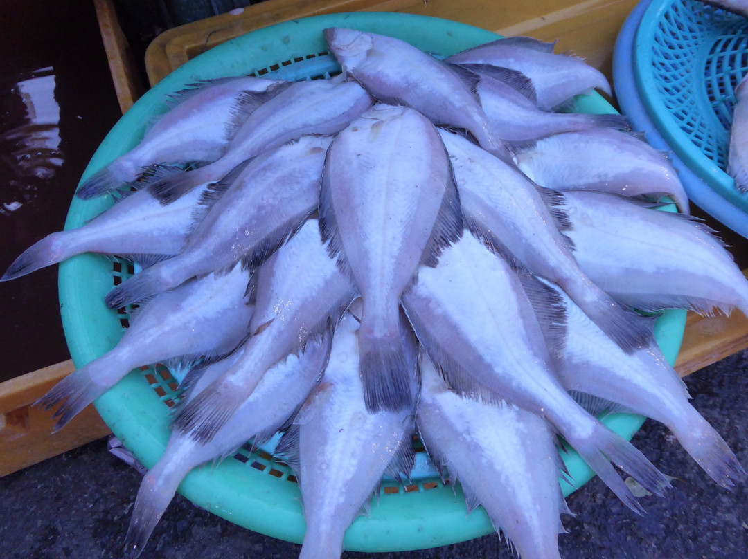 Gupo Market-釜山必去景点