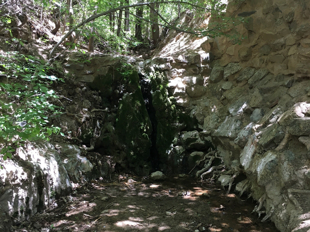 Apache Springs-Willcox必去景点