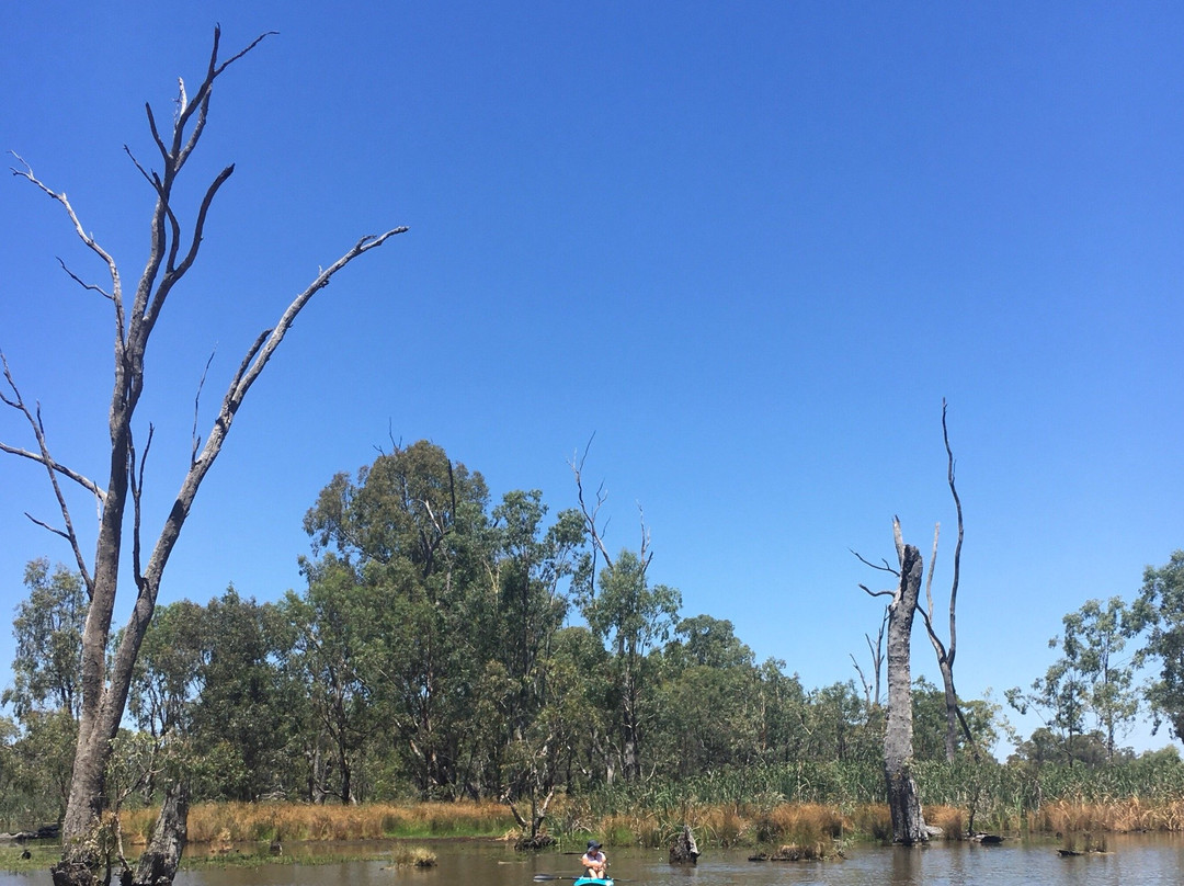 Gunbower National Park-Gunbower必去景点