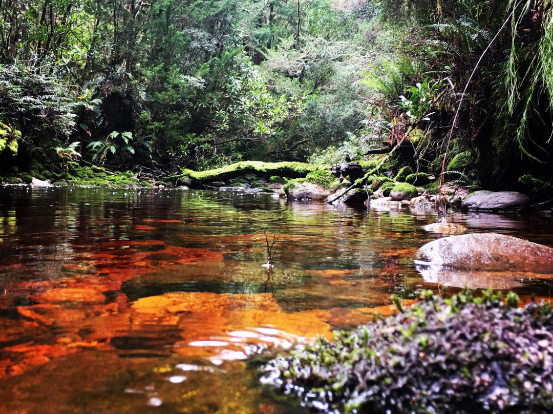 RoamWild Tasmania景点图片