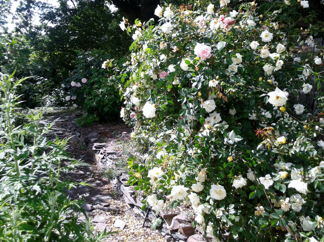 Tracebridge Cottage Bed and Breakfast主图