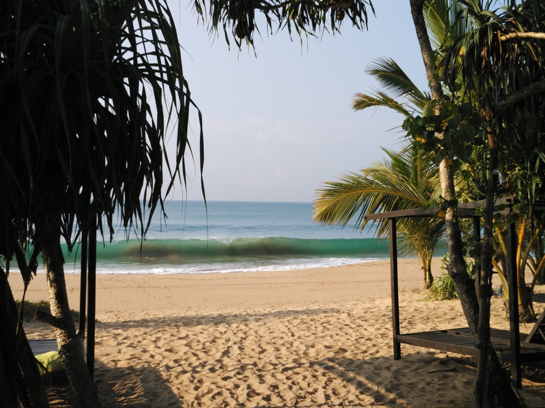 Seven Turtles Resort主图