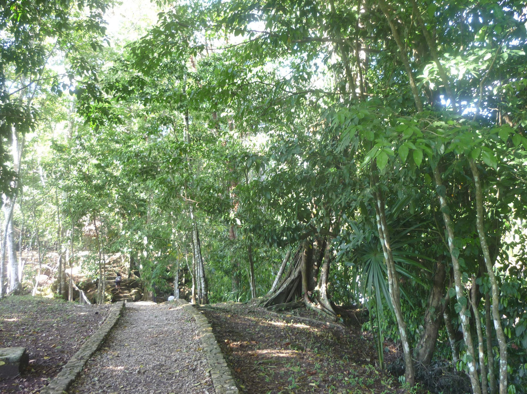 Welib Ja Waterfalls-帕伦克必去景点