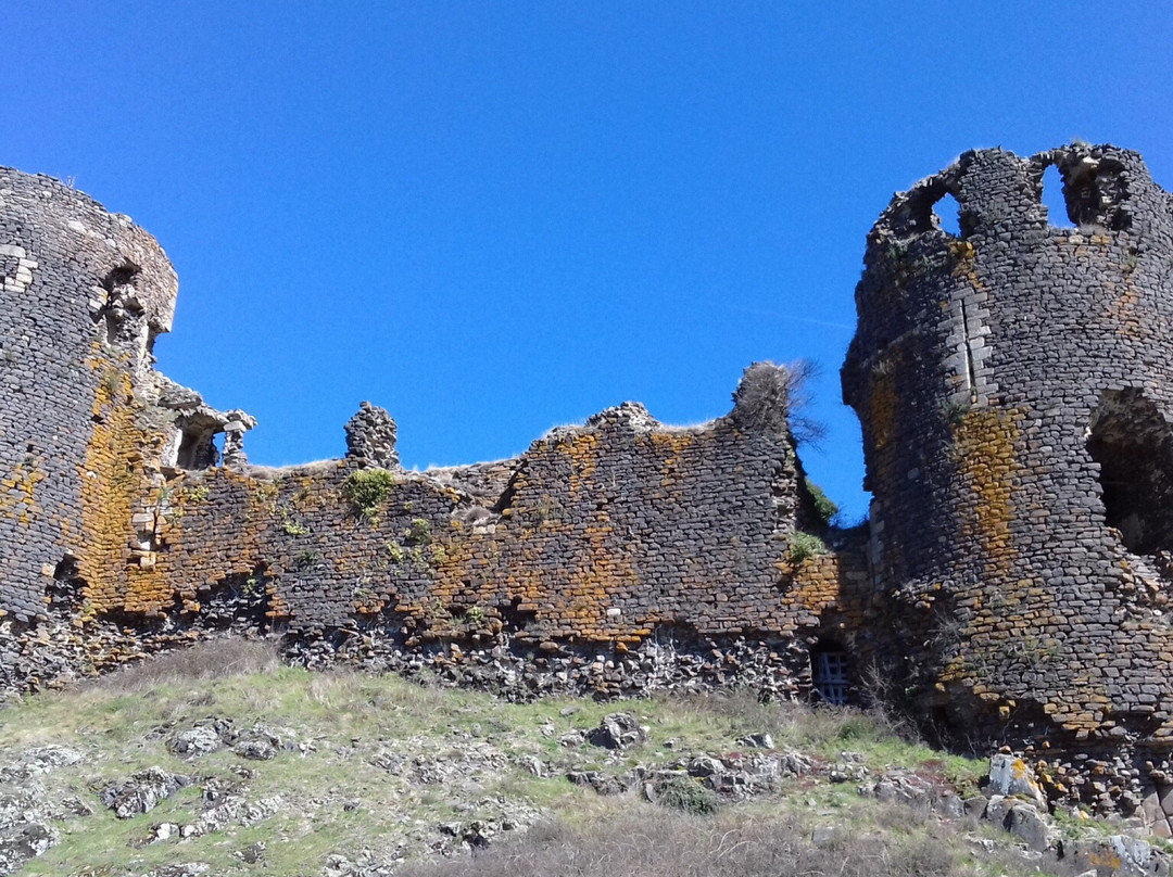 Chateau de Mauzun景点图片