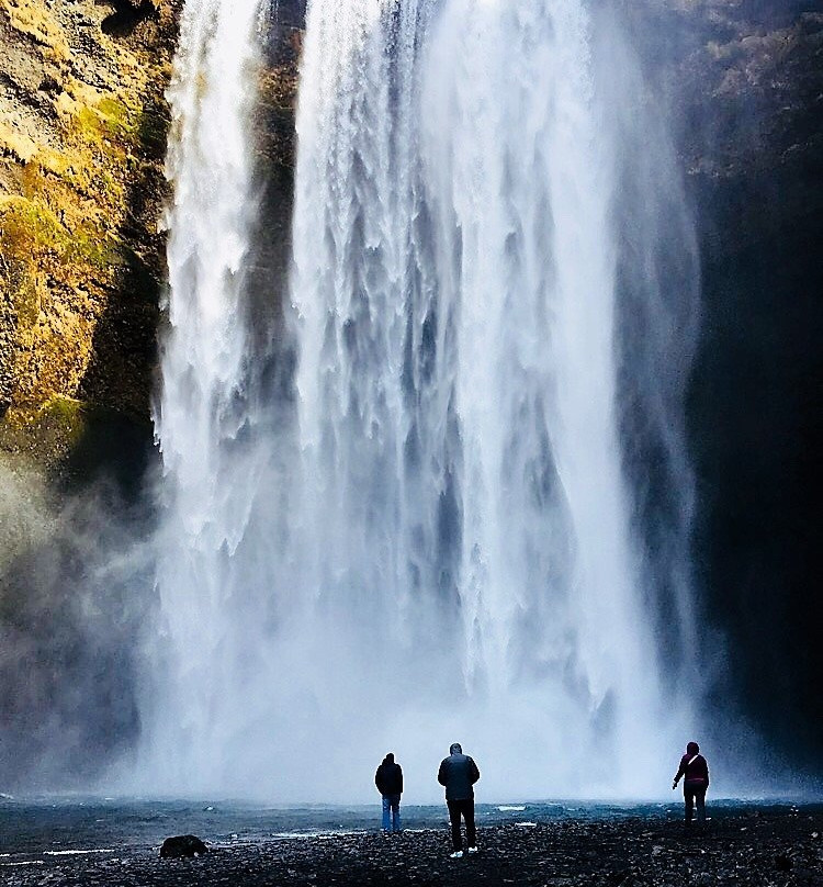 Iceland On The Web-雷克雅未克必去景点