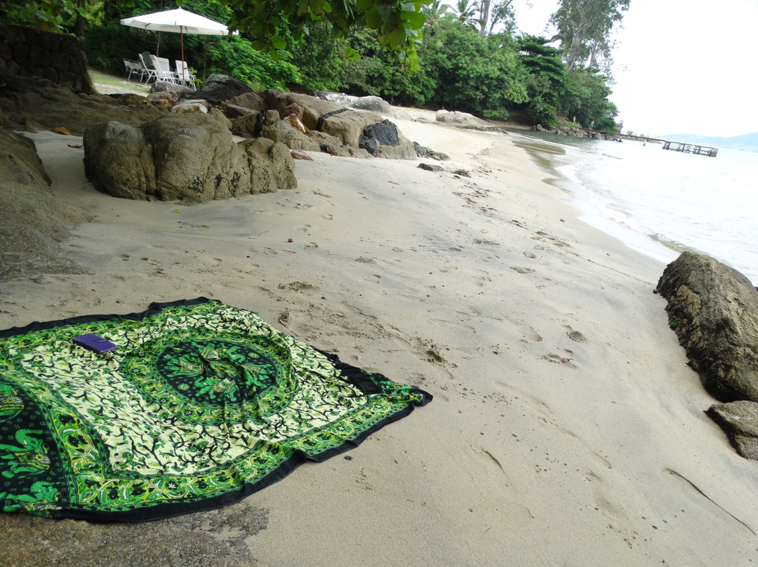 Arrozal Beach-伊利亚贝拉必去景点