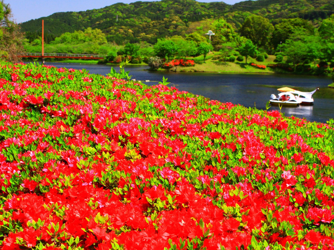 Kannonike Park-都城市必去景点