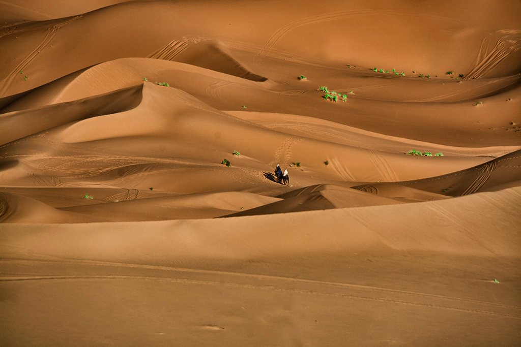 Kasbah Des Dunes-酒店景观