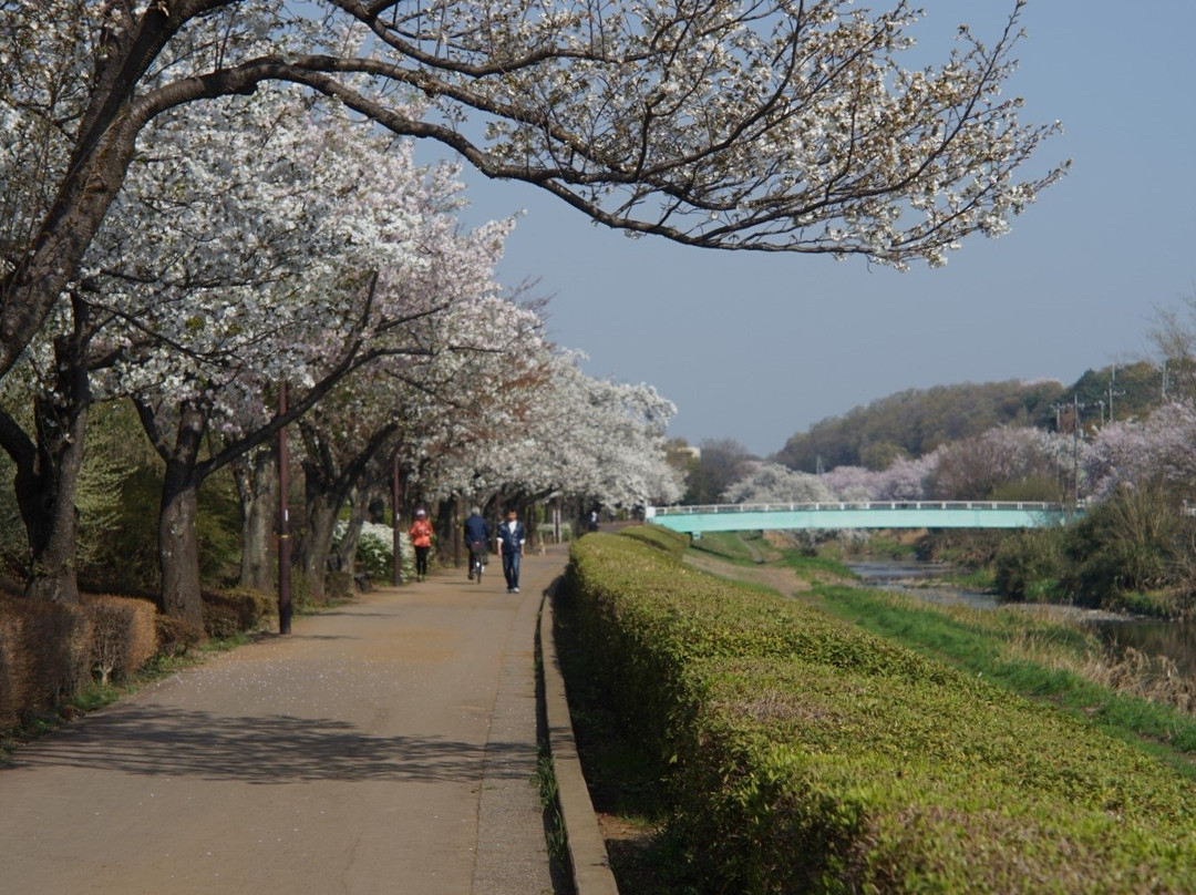Nogawa Park-三鹰市必去景点
