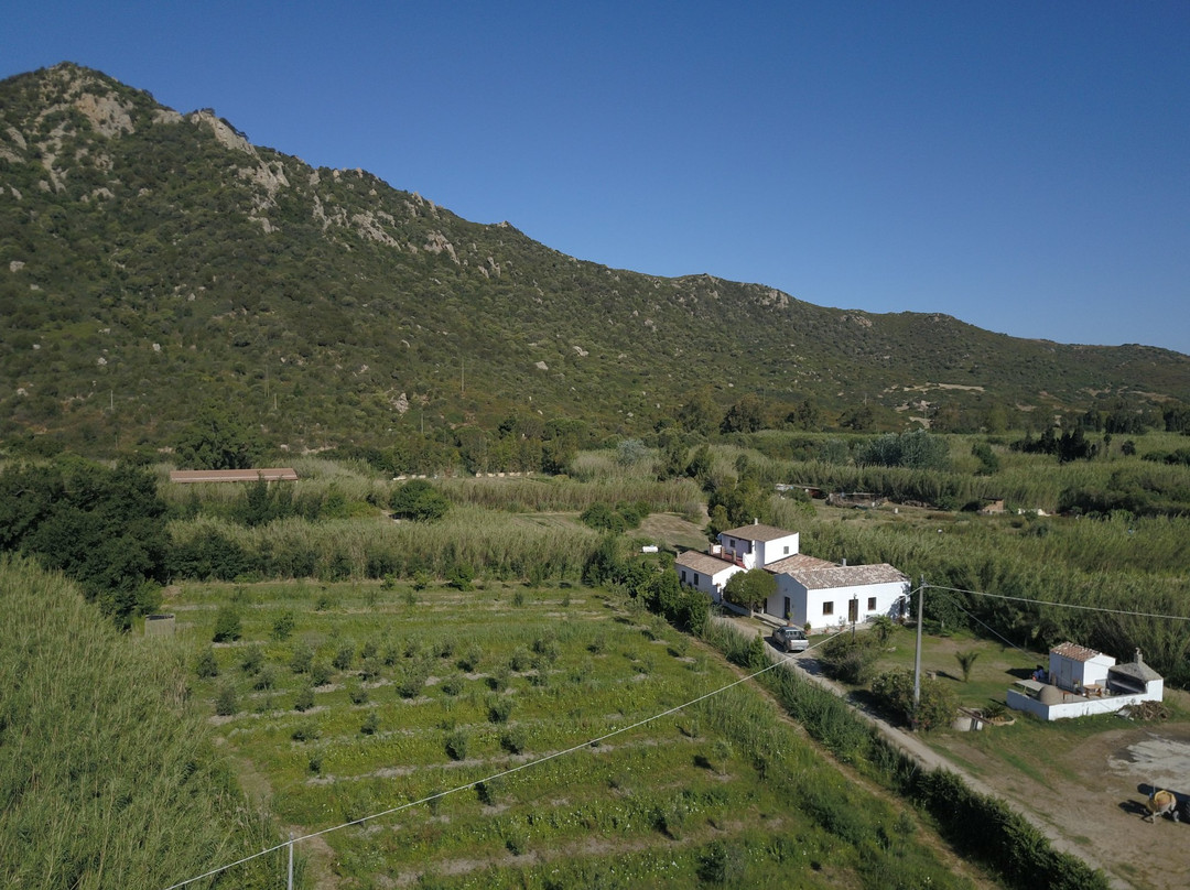 Agrituerra (ex Sa Tuerra)主图
