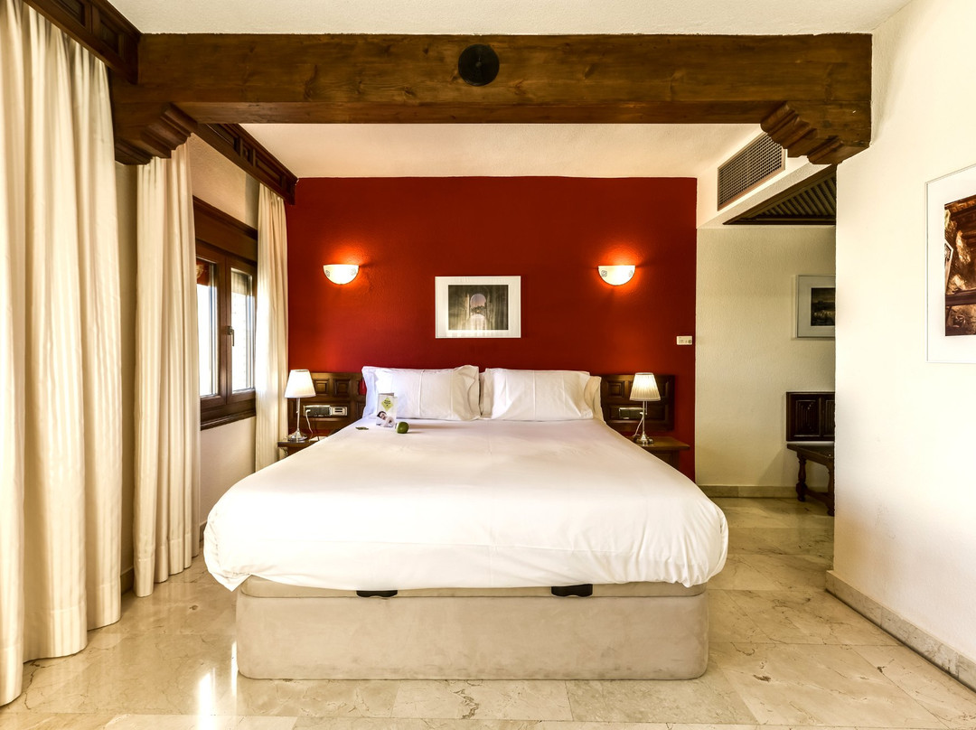 阿方索六世酒店主图