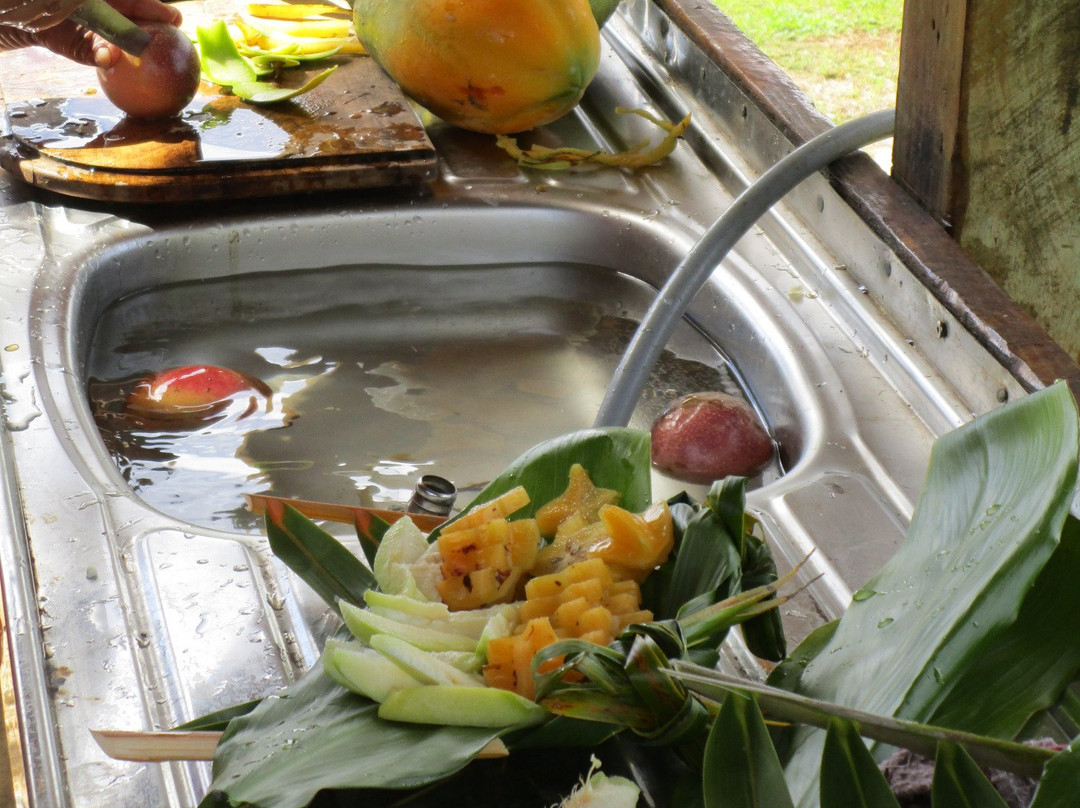 Aitutaki Punarei Culture Day Tour-艾图塔基必去景点