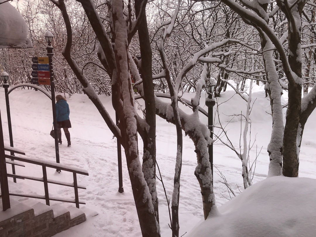 Murmansk Discovery Center主图