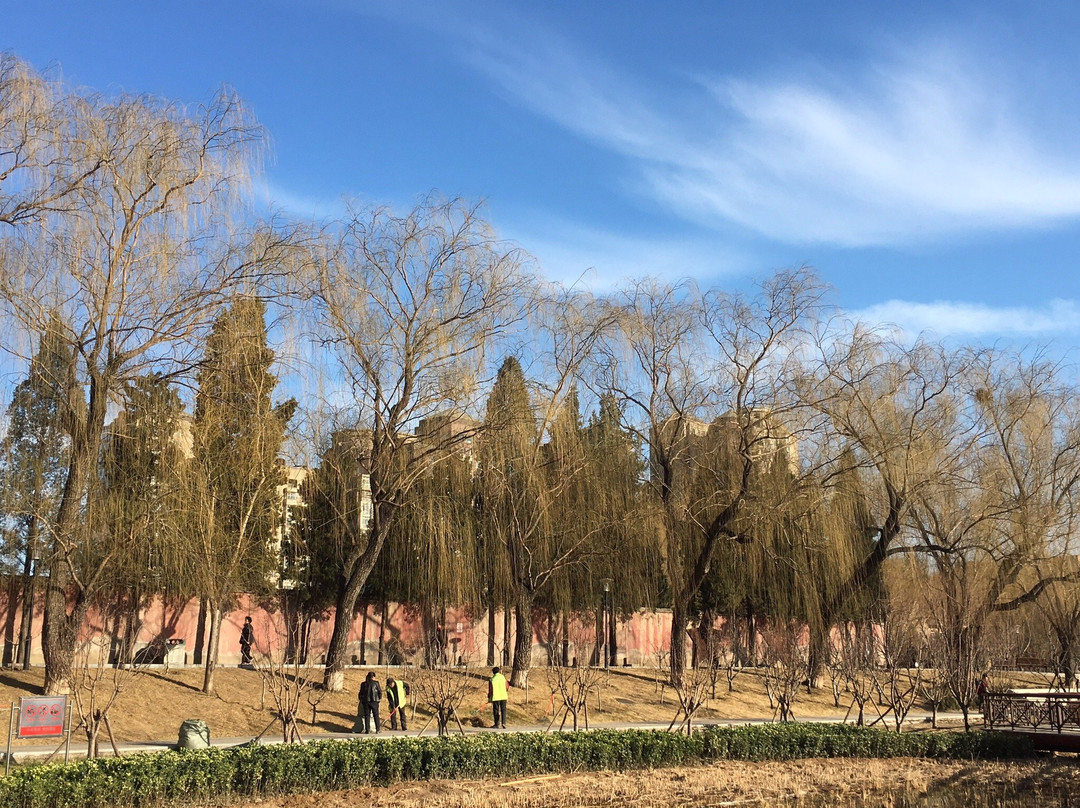 红领巾公园-北京市必去景点