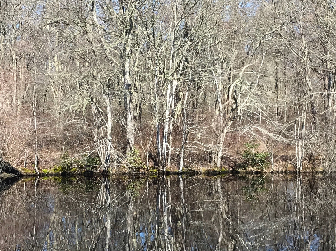 Dundery Brook Trail景点图片