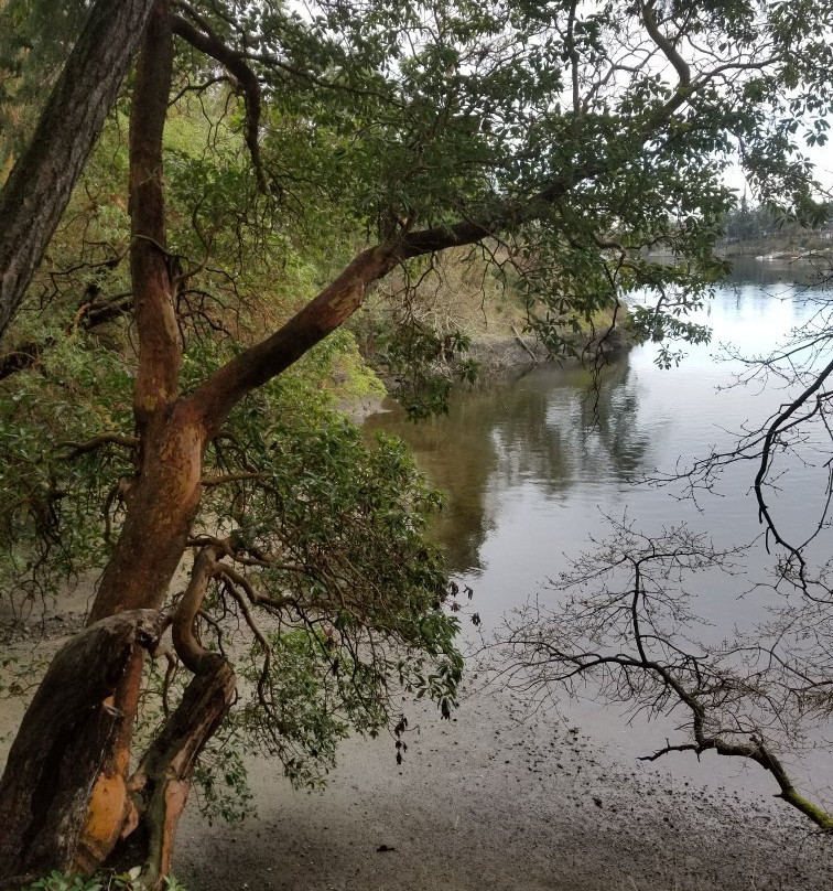 Esquimalt Gorge Park景点图片