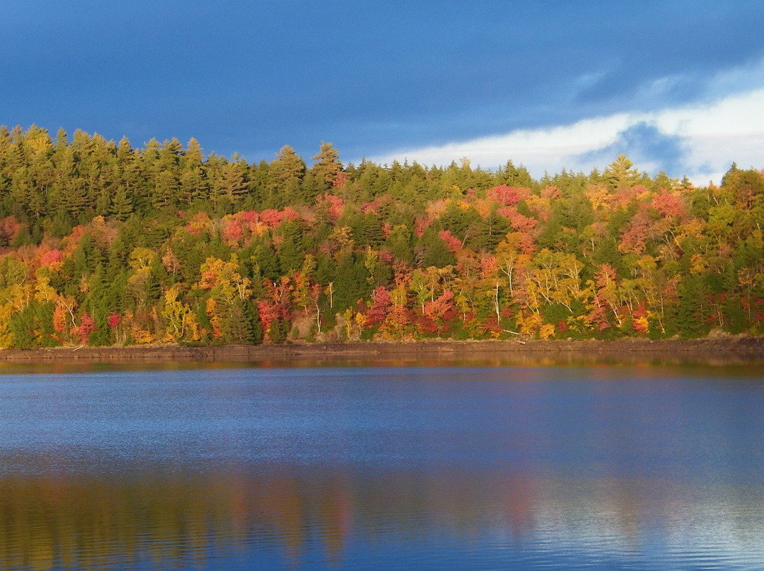 Camp Driftwood主图