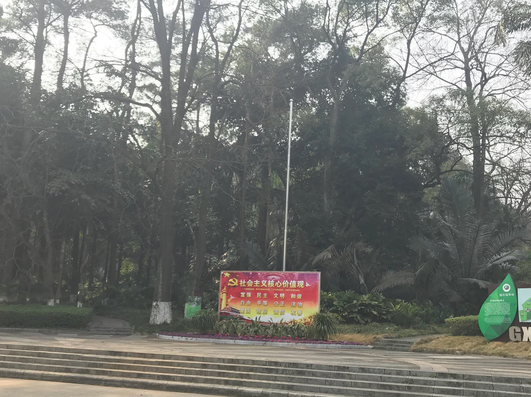 中国科学院桂林植物园景点图片