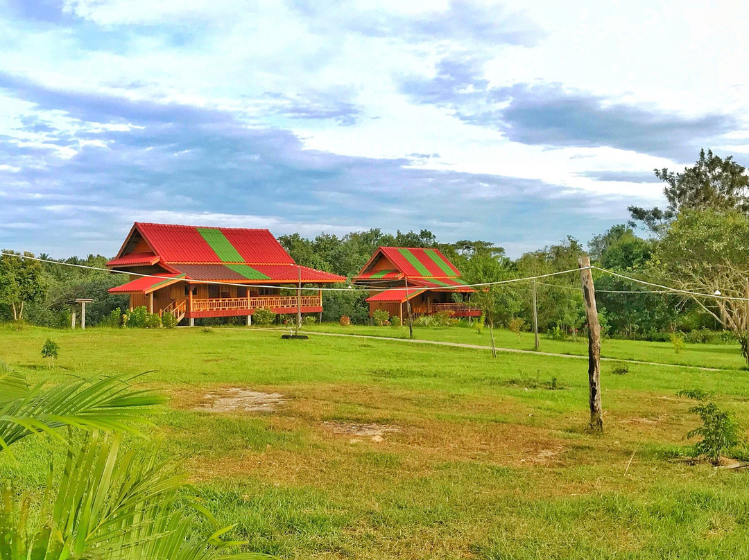 Fireflies Lodge