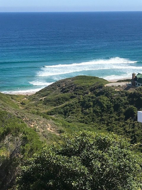 Lilies & Leopards B&B主图