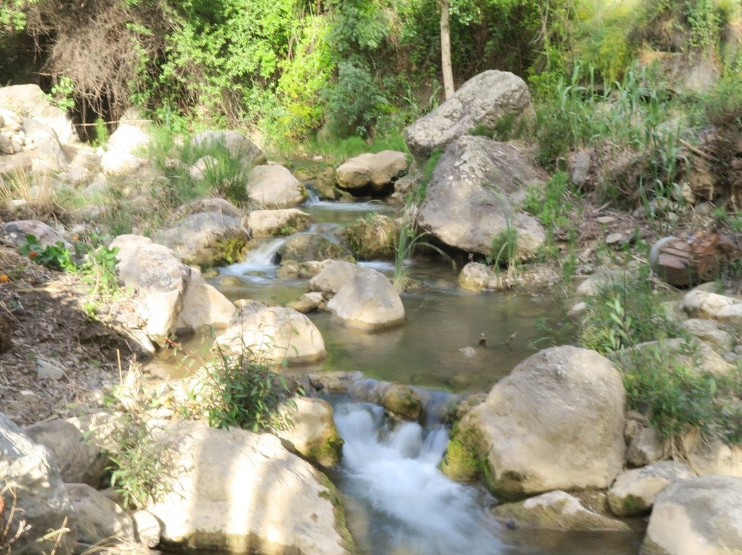 Molino de Las Tablas主图