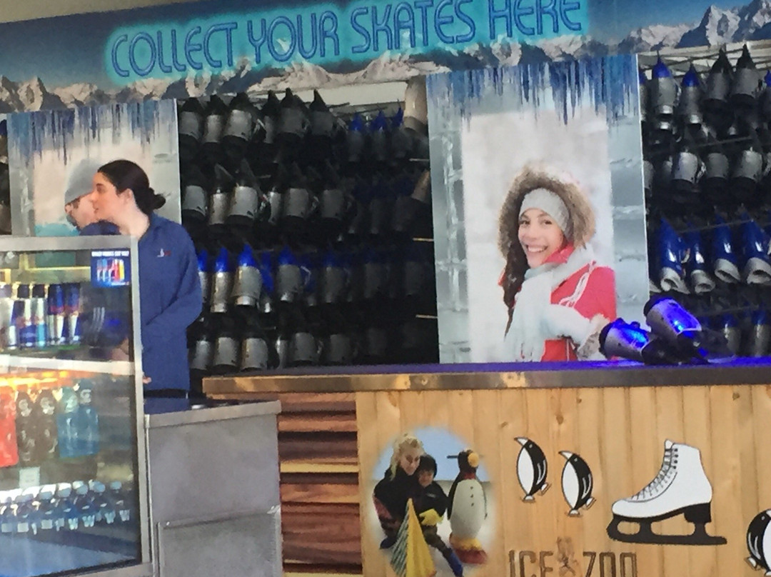 Ice Zoo Ice Rink景点图片
