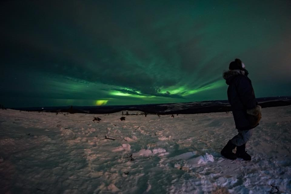 Alaska Borealis Tours & Taxi-费尔班克斯必去景点