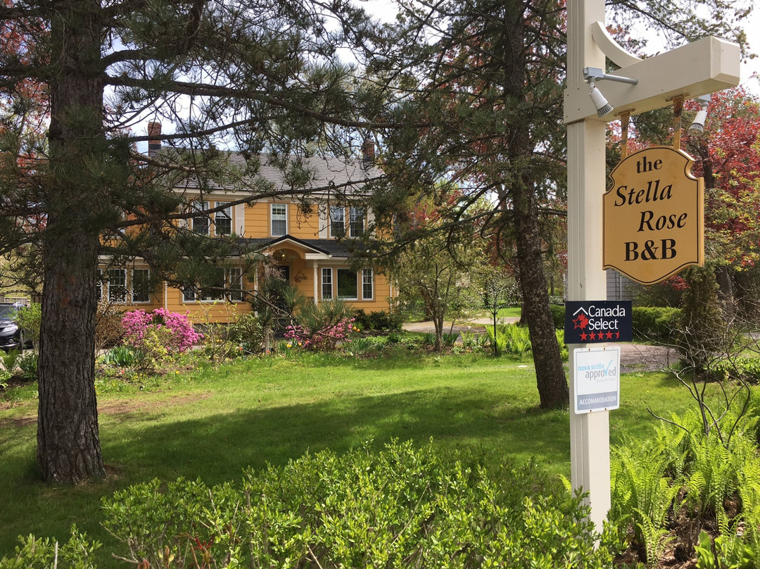 The Stella Rose B&B主图