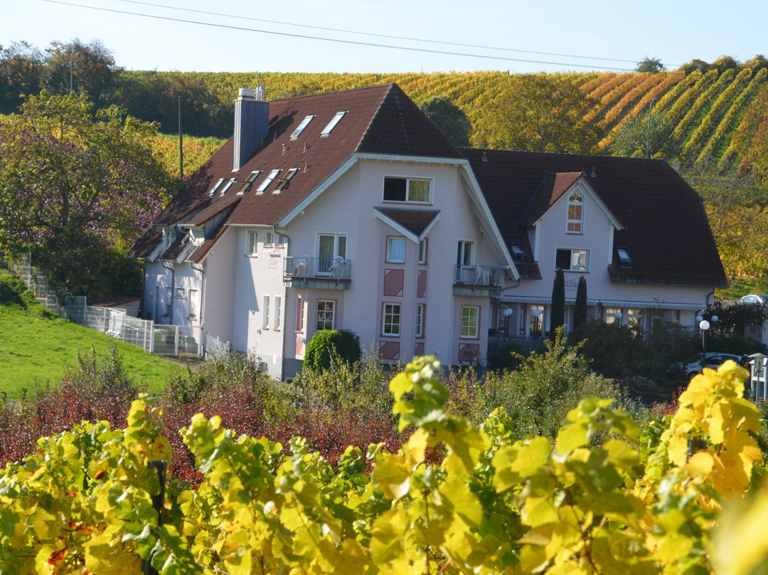 Hotel und Restaurant Castell主图