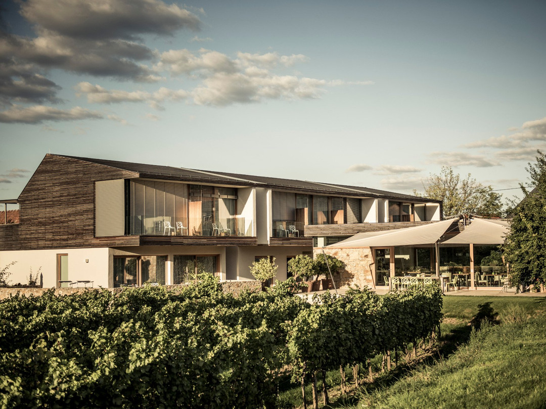 Furth bei Goettweig酒店住宿-Malat Weingut und Hotel