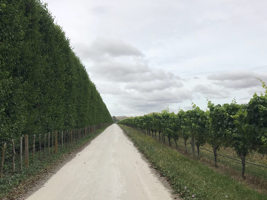 On Yer Bike Winery Tours-黑斯廷斯必去景点