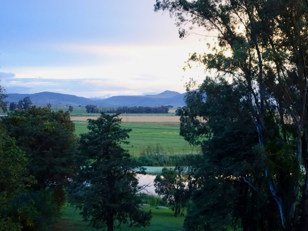 Sandford Park Country Hotel主图