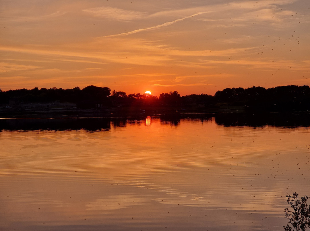 Delamere Lake Sailing & Holiday Park