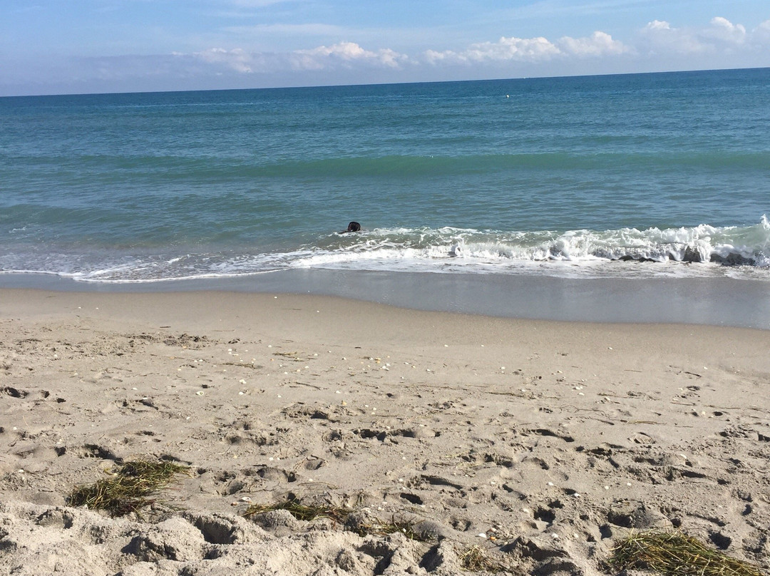 Carlin Park-朱庇特必去景点