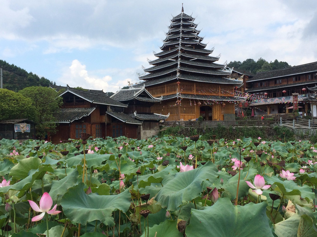 Hot Hunan Tour-长沙市必去景点