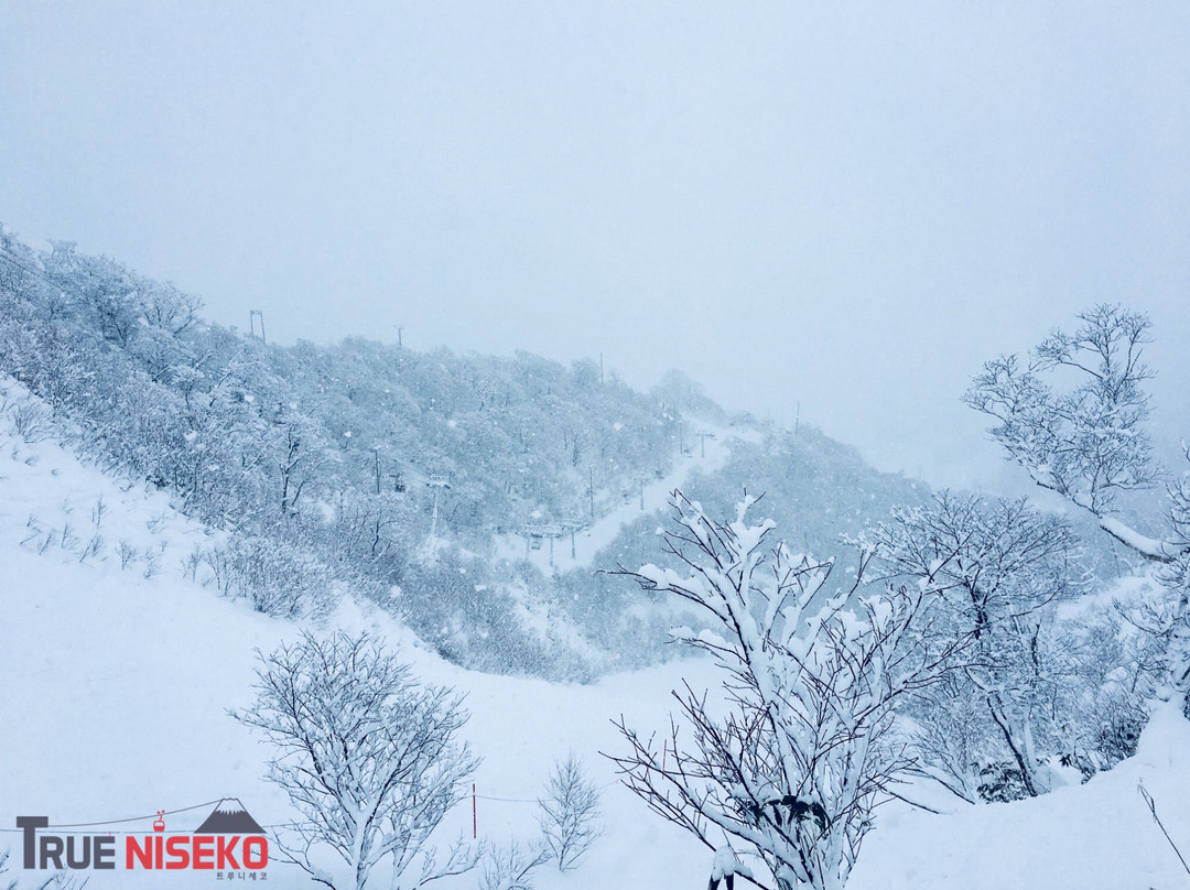 True Niseko-俱知安町必去景点