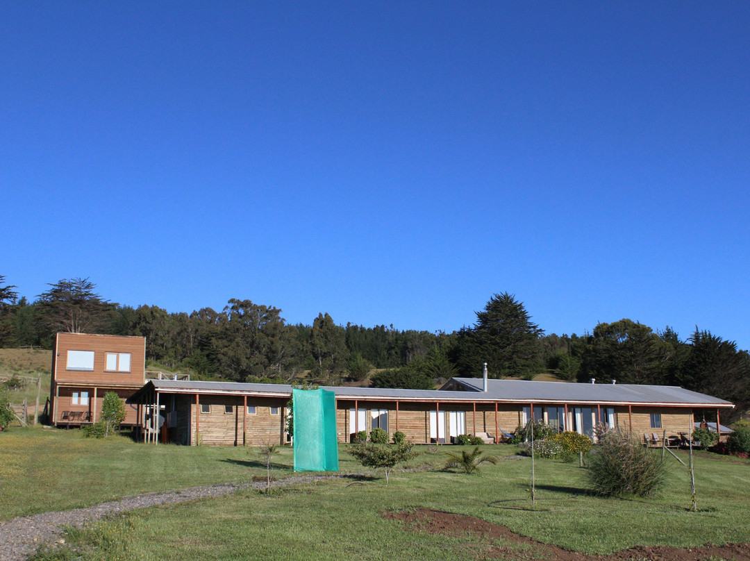 Hostal Pichilemu Casa Verde