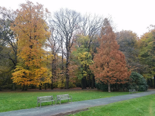 Te Boelaerpark-安特卫普必去景点