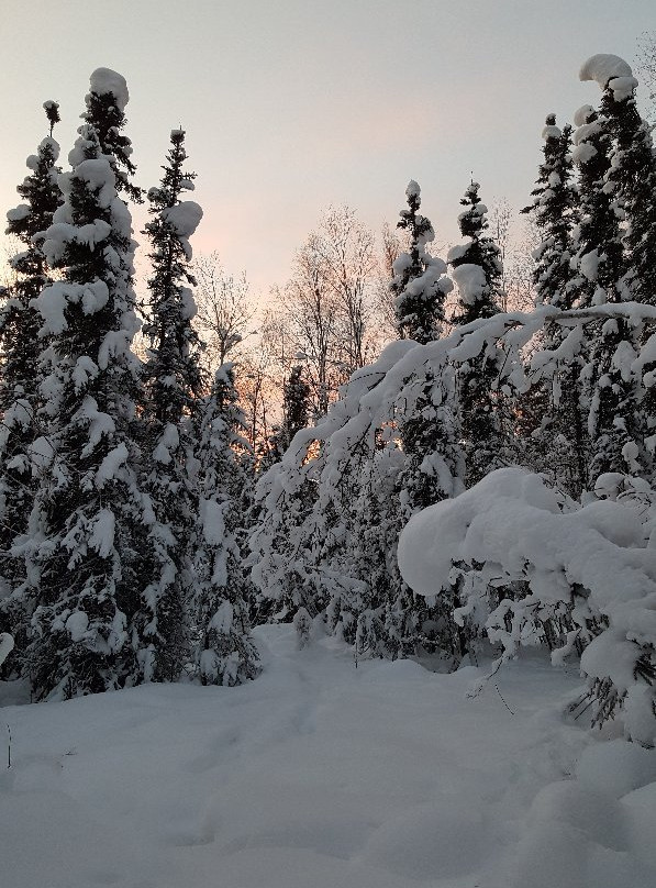 Wilderness Enterprises-费尔班克斯必去景点