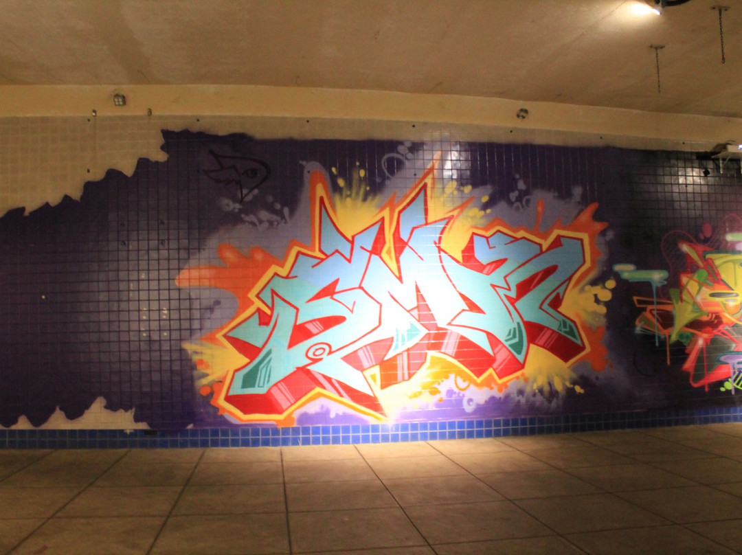 Dupont Underground景点图片