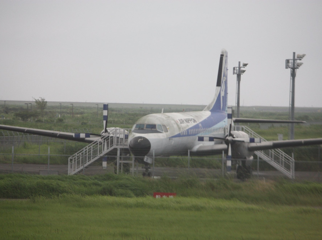 Saga Airport Park景点图片
