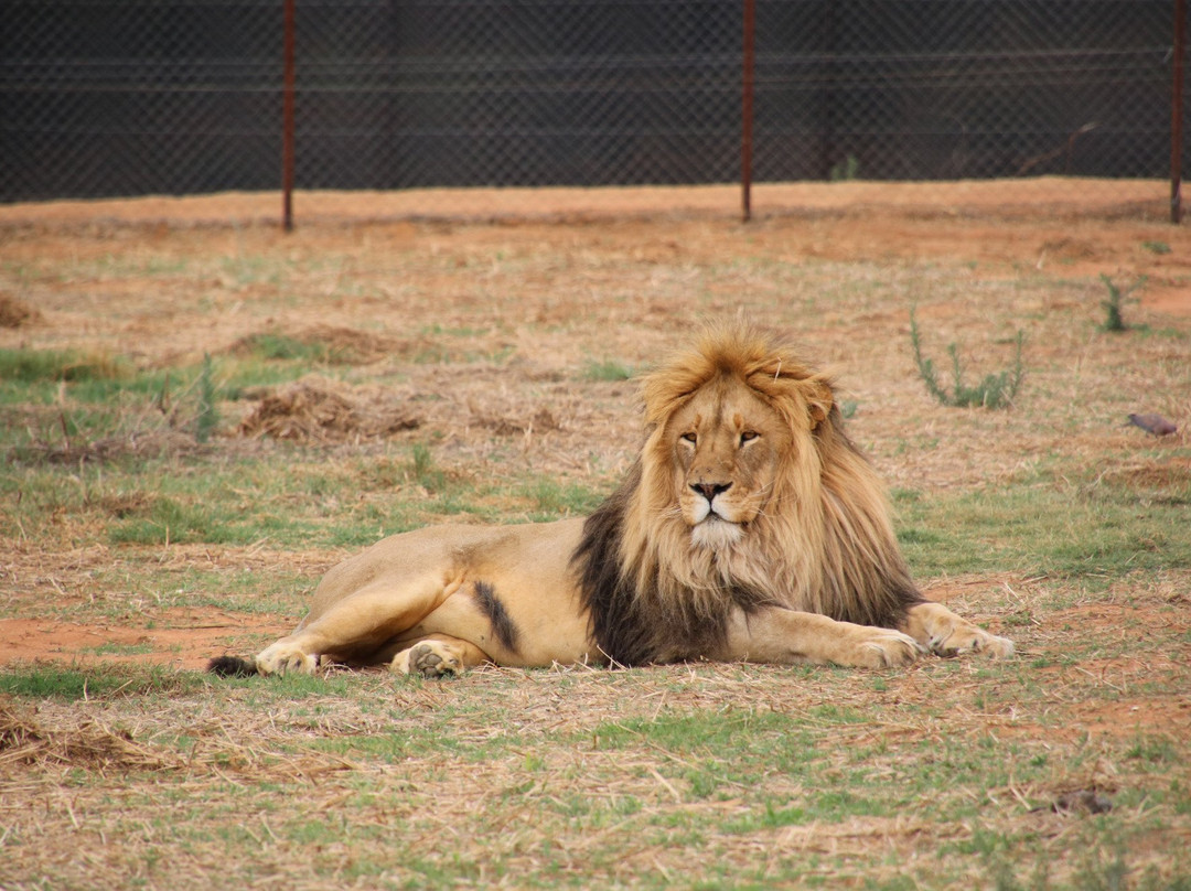 Loebies Gasteplaas-贝拉贝拉必去景点