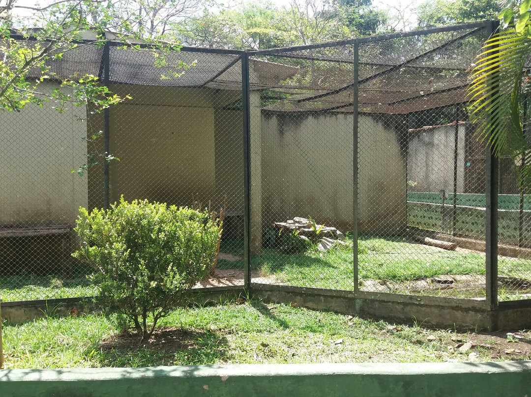 Zoologico Municipal景点图片