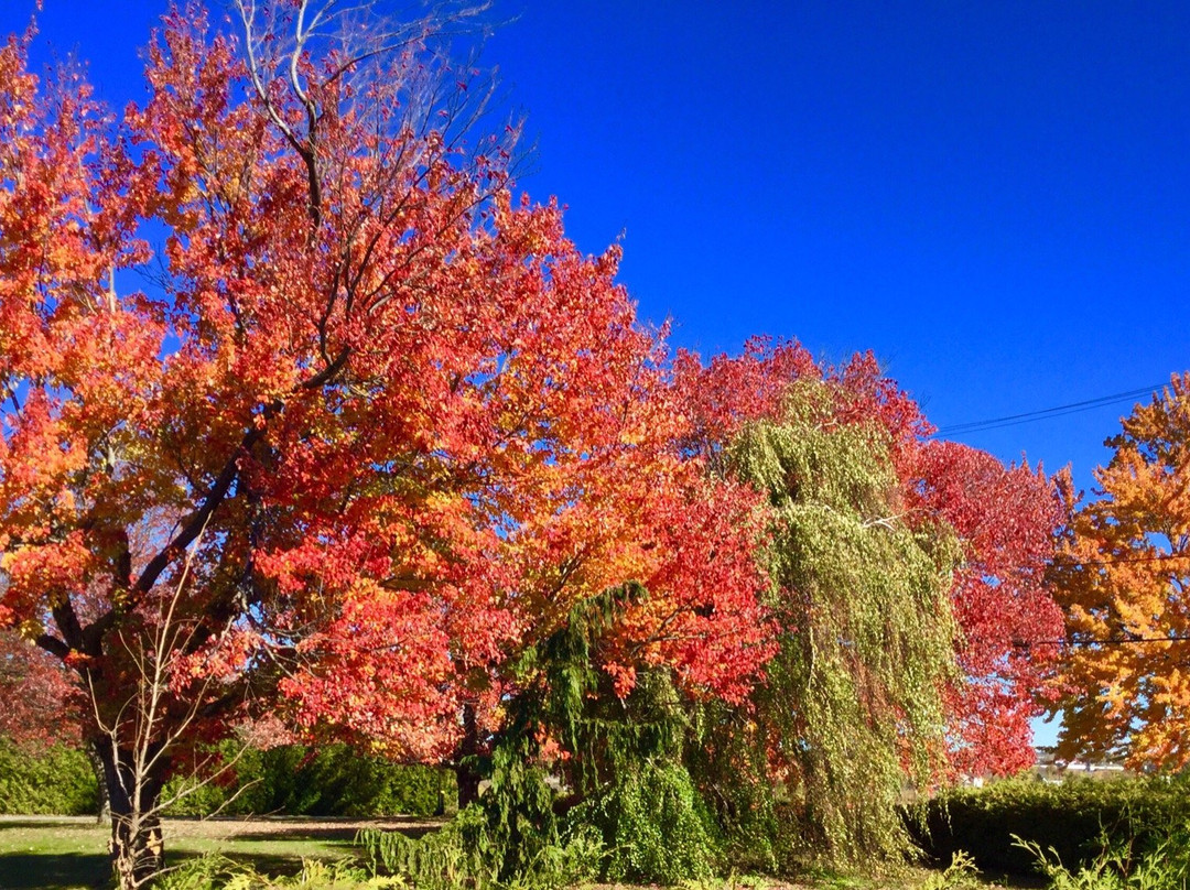 Old Government House-弗雷德里克顿必去景点