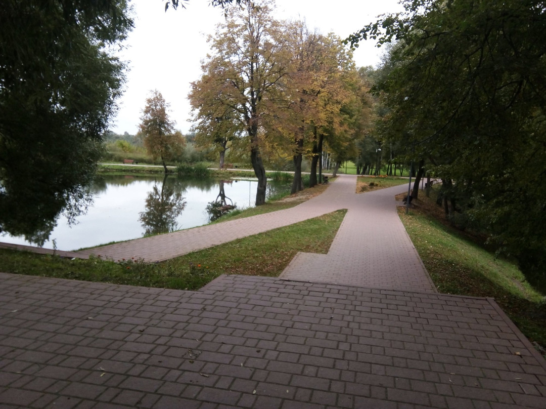 City Park of Culture and Leisure景点图片