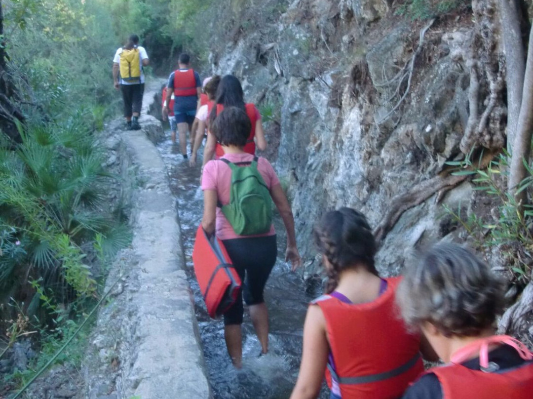 Andando X Málaga-马拉加必去景点