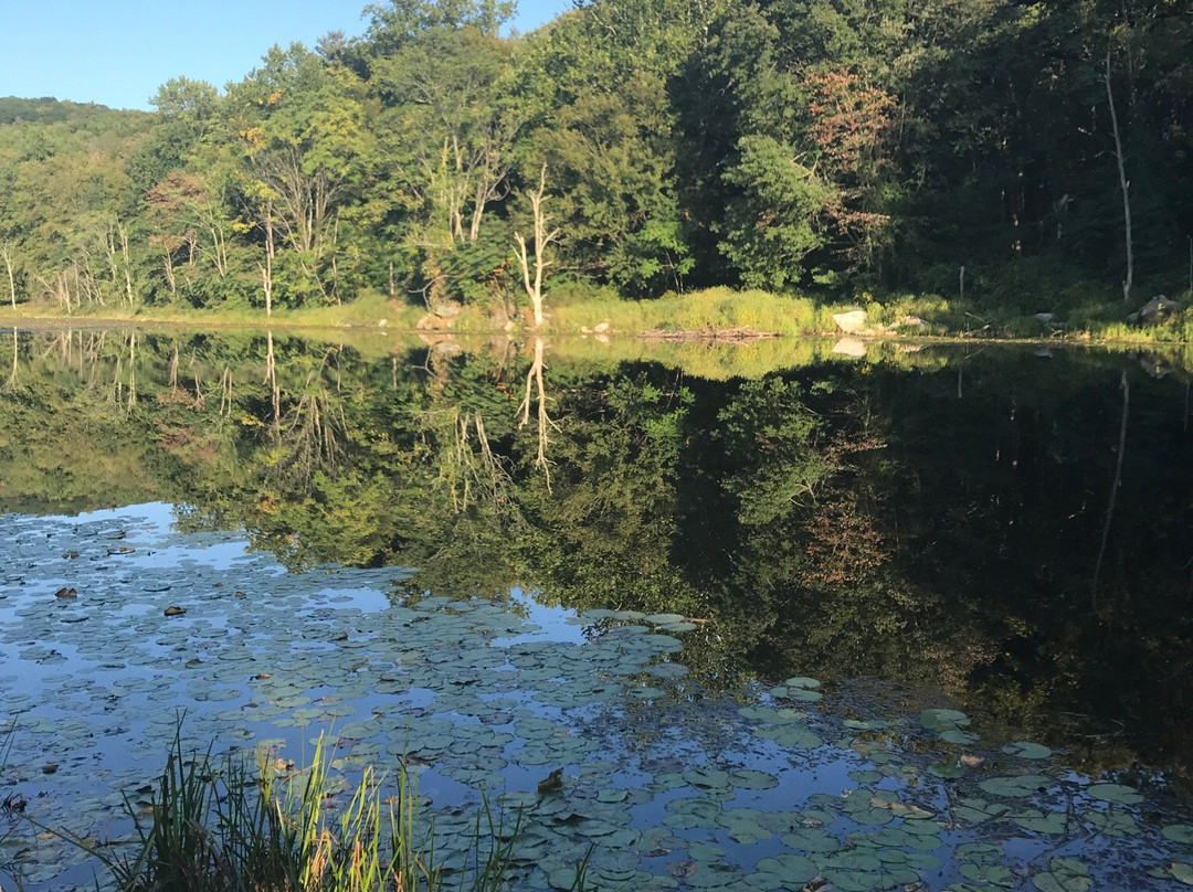 Sterling Forest State Park景点图片