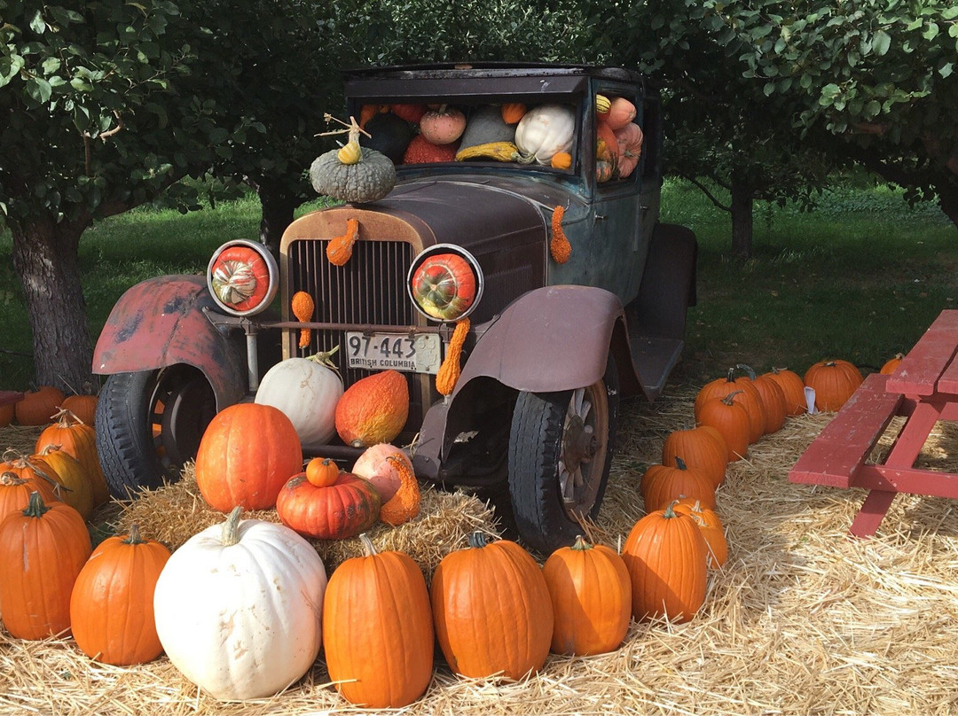 Parsons Fruit Stand-Keremeos必去景点
