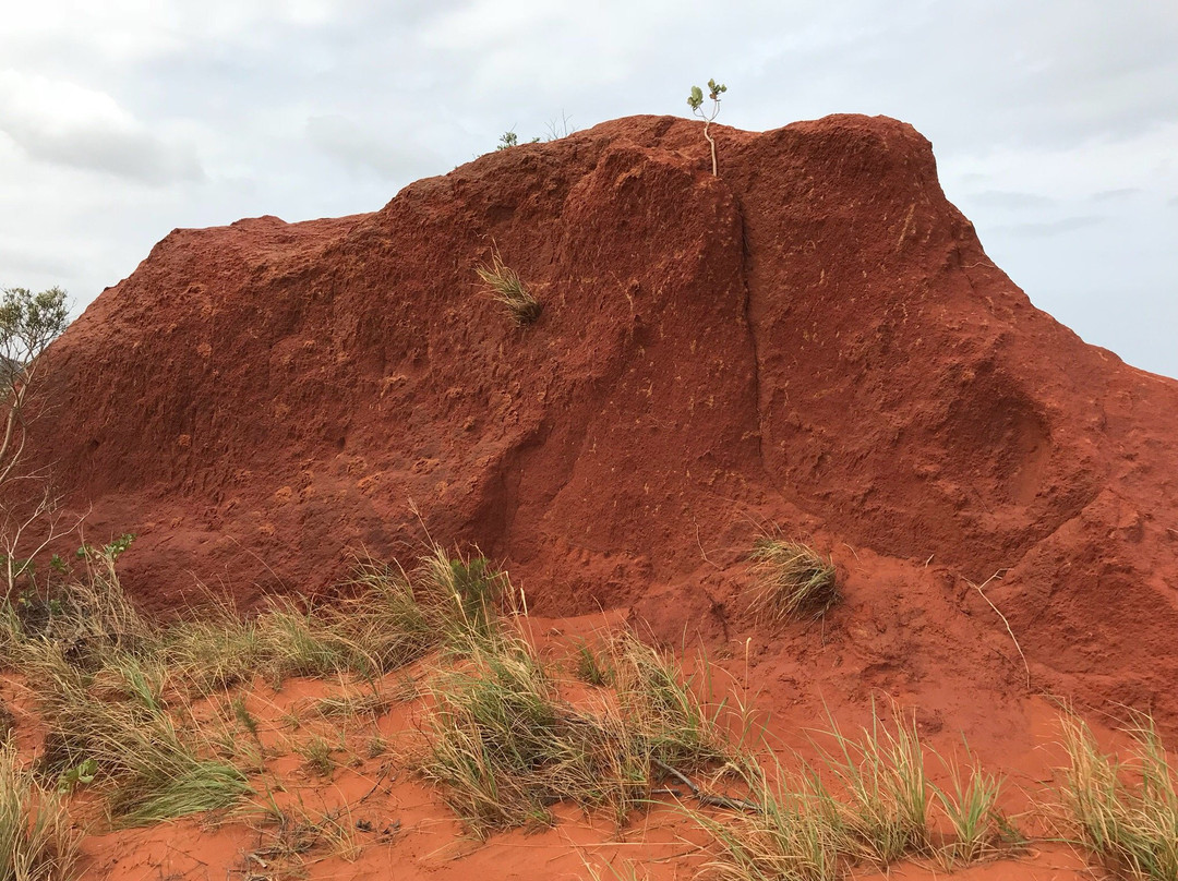 Red Desert景点图片