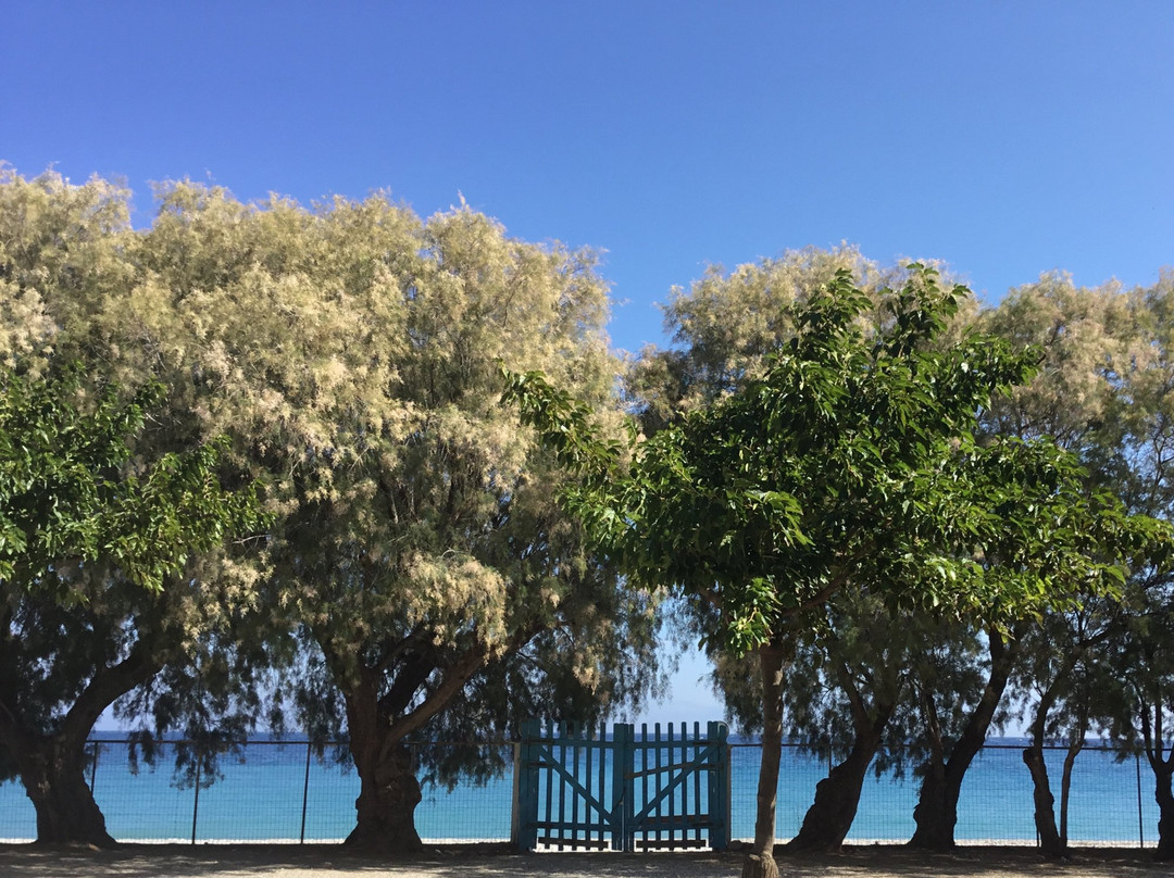 Akrata Beach Camping